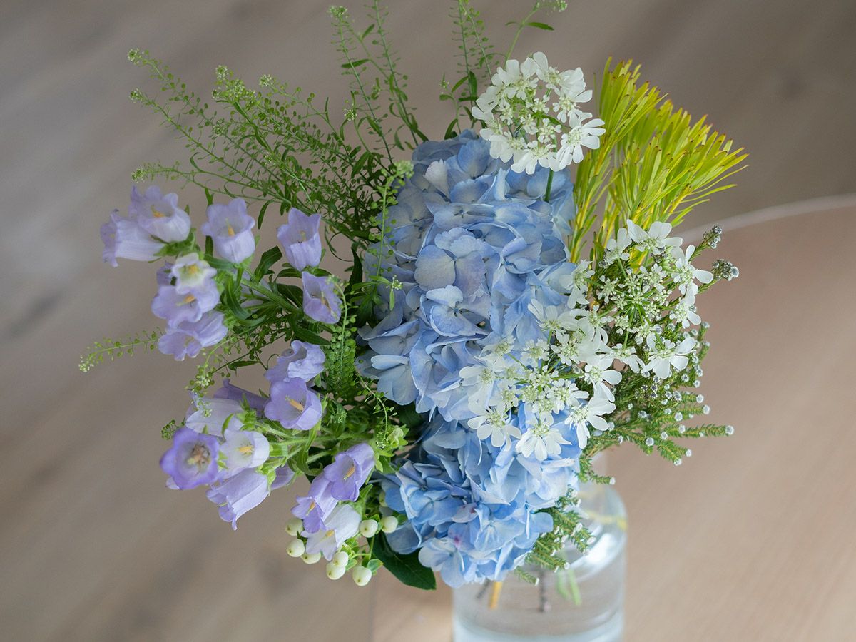 定期便】世界の花のある暮らし | 世界の花屋