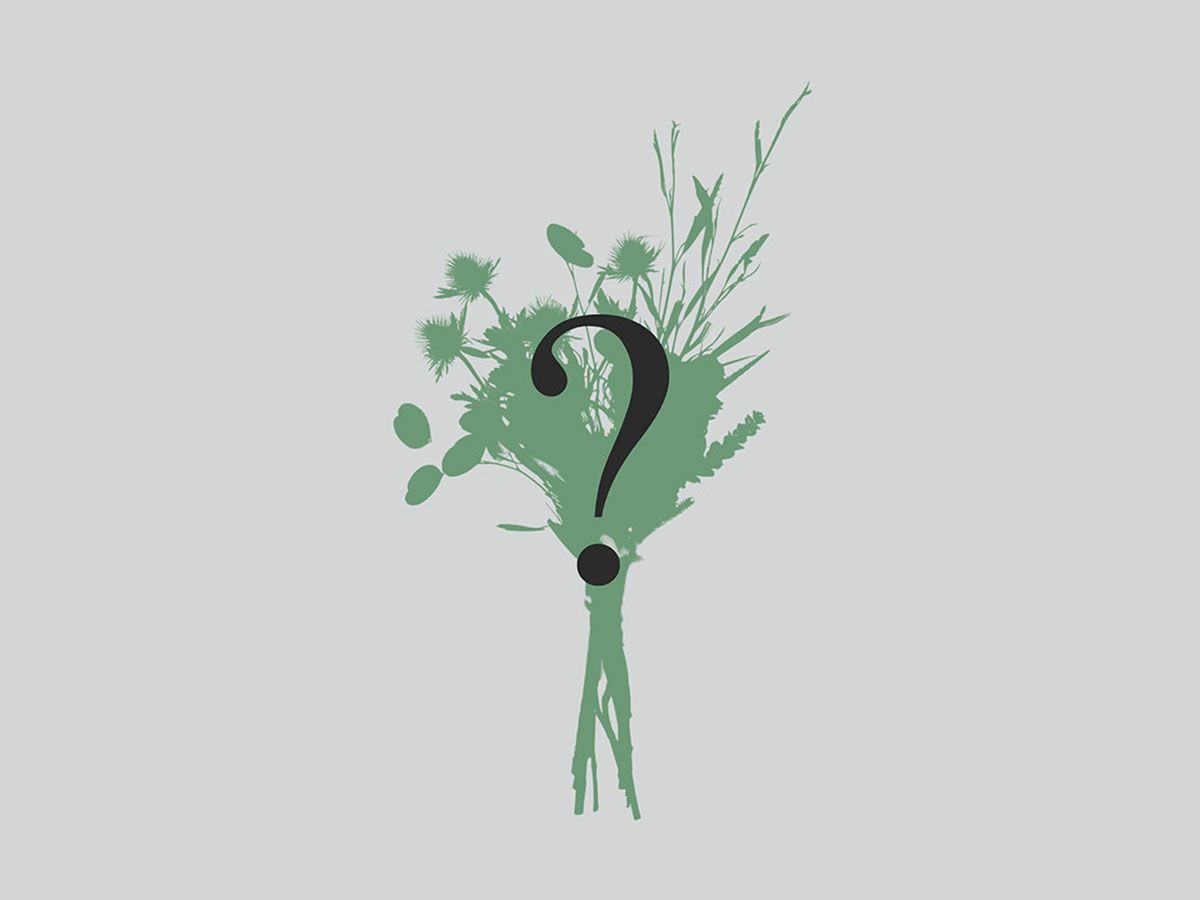 生花_ネイティブ | 世界の花屋